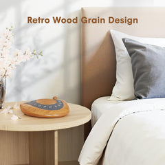 Raynic device display of 15/30/60-minute auto-off timer for easy sessions.