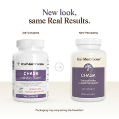 Real Mushrooms Chaga capsules close-up showing purity and potency.