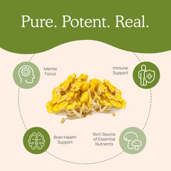 Real Mushrooms ergothioneine powder packaging close-up for easy mixing