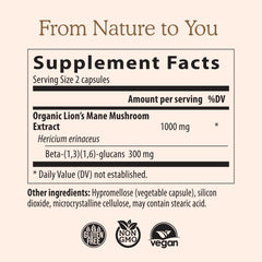 Real Mushrooms Lion's Mane capsules close-up highlighting easy daily intake