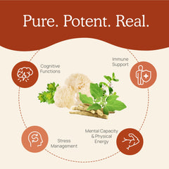 Real Mushrooms RealClarity nutrition panel highlights fruiting body extracts.