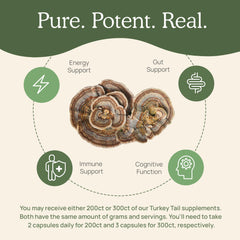 Real Mushrooms Turkey Tail capsules held in hand for convenient daily use