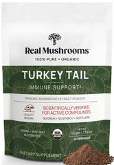 Real Mushrooms Turkey Tail powder bottle shows pure extract for daily wellness.