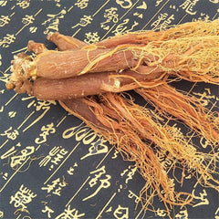 Red Ginseng Roots – steamed and dried processing preserves aroma and saponins