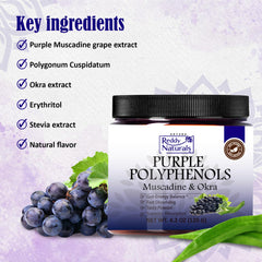 Reddy Naturals Purple Polyphenols powder close-up showing natural sweeteners.