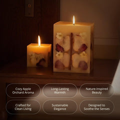Refillery Haus Small Spiced Apple Cider Candle apple-note highlights crisp fruit aroma.
