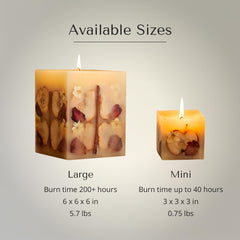 Refillery Haus Small Spiced Apple Cider Candle burn-time emphasizes hours of fragrance.