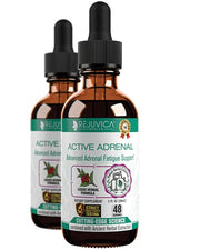 Rejuvica Health Active Adrenal bottle closeup showing liquid tincture for daily balance