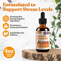 Rejuvica Health Active Ashwagandha drops dispense convenient daily use of root extract.