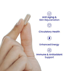 Relumins Resveratrol 600mg red wine extract showcasing polyphenols