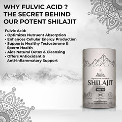 Reniva Wellness Shilajit Gummies tamarind flavor highlight for easy daily use.