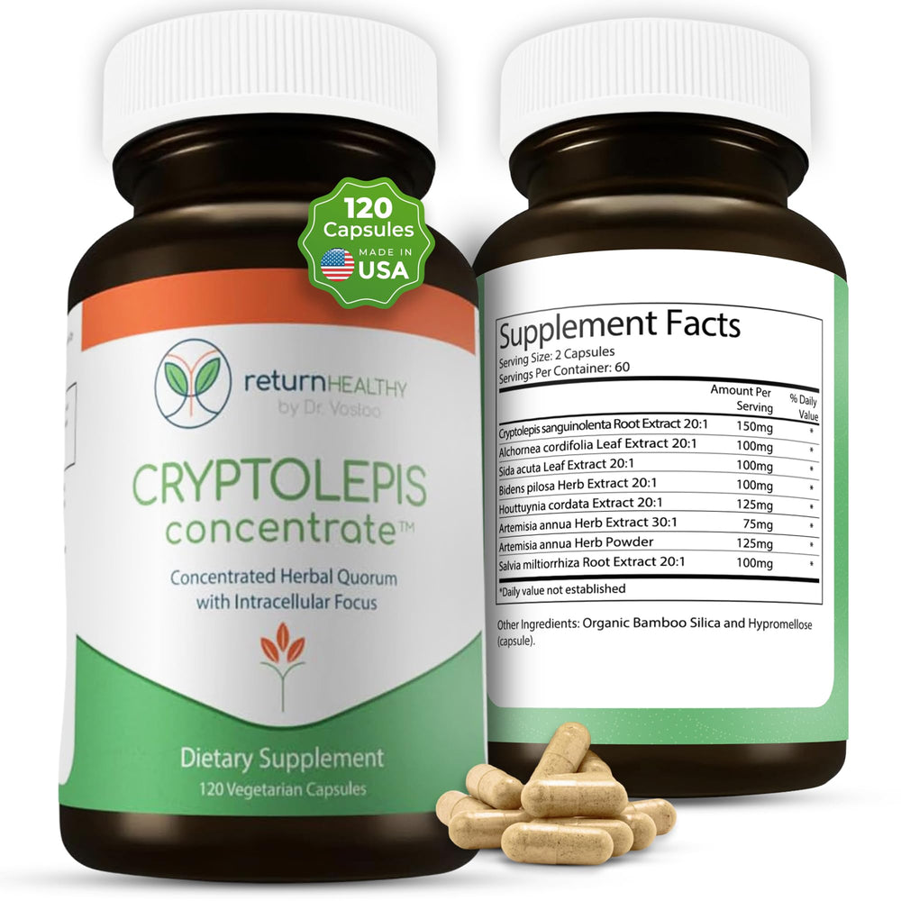 Return Healthy Cryptolepis Concentrate bottle front view signaling immune support potential.