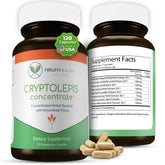 Return Healthy Cryptolepis Concentrate bottle front view signaling immune support potential.