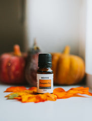 REVIVEEO Pumpkin Pie diffuser releasing cozy autumn aroma