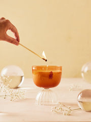 Rewined Mimosa Sparkling Candle in coupe glass, inviting ambience for gatherings.