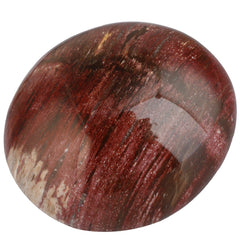 Rockcloud worry stone irregular petrified wood pocket-size in hand