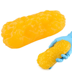 RONTEN 1lb human fat model with visual size for education.