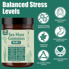 RRIVAN Sea Moss Gummies 16-in-1 ingredients highlight immune and energy support.