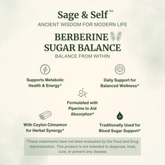 Sage & Self Berberine HCL capsules closeup, easy daily vegan supplement.