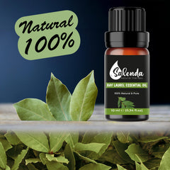 Salenda Bay Leaf Essential Oil aroma in diffuser creates a spicy herbal ambiance