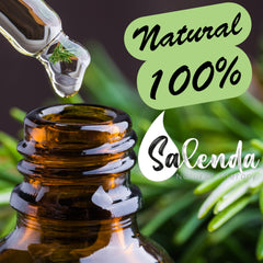 Diffuser with Salenda Rosemary Oil releasing a calming herb aroma