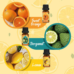 SALKING Citrus Burst Lemon bottle ideal for cleaning scents and bright ambiance.