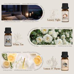 Salubrito fragrance set bottle in a diffuser for ambient scent.