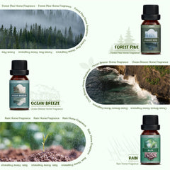 Salubrito Rain oil with crisp calming notes for diffusers