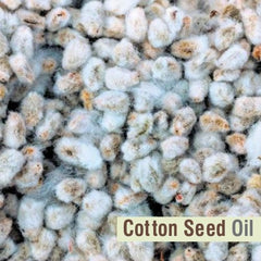Close-up of silky Salvia Cotton Seed Oil texture for smooth application.