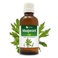 Salvia Mugwort Oil bottle for skin comfort and digestion support.
