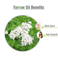 Salvia Yarrow Oil dropper bottle ready for carrier-oil mixing in cosmetics.