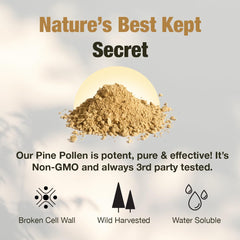 Samsara Herbs pine pollen powder in 8oz jar for convenient daily use