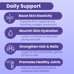 Graphic of Type I & III collagen peptides supporting skin and joints.