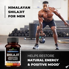 SANDHUHERBALS Himalayan Shilajit ingredients graphic showing natural minerals and vitality