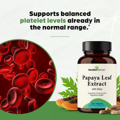 SANDHUHERBALS Papaya Leaf Extract capsules ready for vegetarian daily use