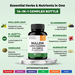 Sandhu's Mullein Leaf Extract closeup emphasizing concentrated lung benefits