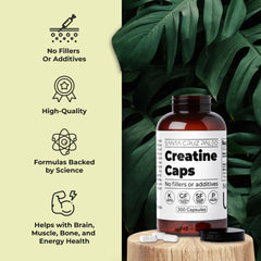 Santa Cruz Paleo Creatine Capsules close-up shows pure creatine monohydrate