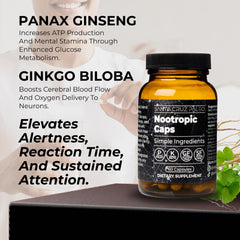 Santa Cruz Paleo nootropic bottle with Lions Mane capsule shown for daytime focus.