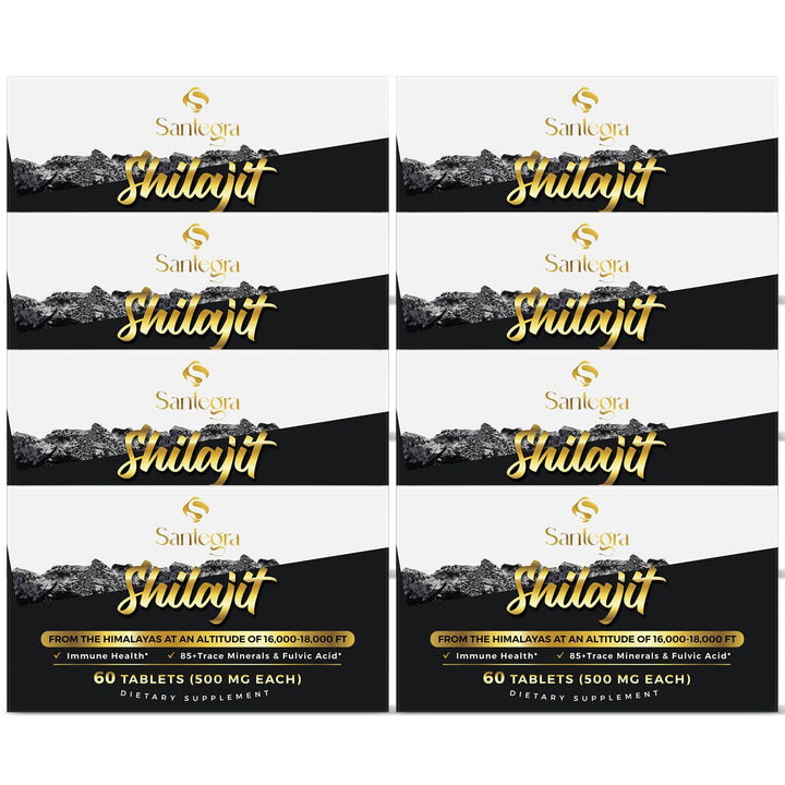 Santegra Shilajit tablets in bottle for easy daily energy support.
