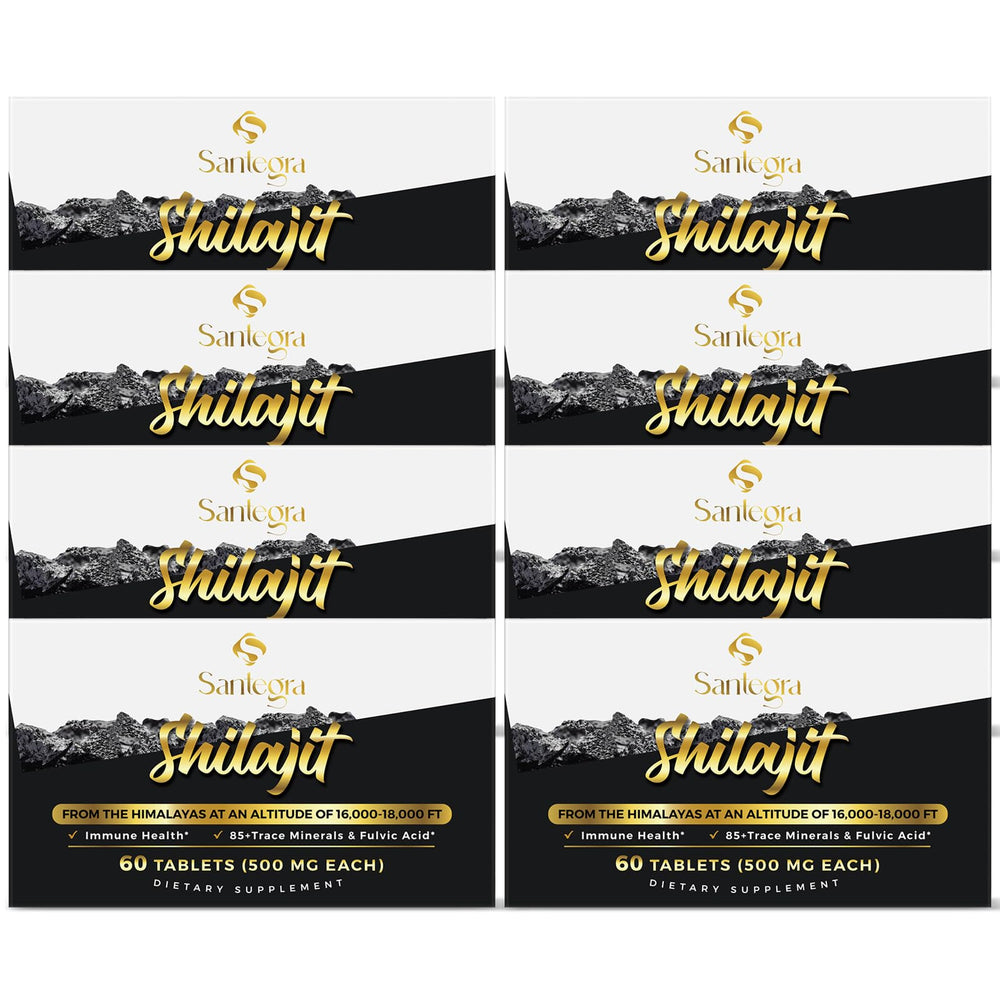 Santegra Shilajit tablets in bottle for easy daily energy support.