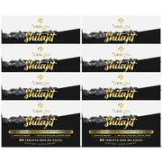 Santegra Shilajit tablets in bottle for easy daily energy support.