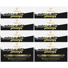 Santegra Shilajit tablets in bottle for easy daily energy support.