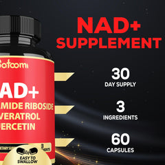Close-up of vegan capsules designed for easy daily use.