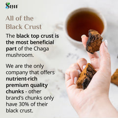 Sayan Siberian Chaga tea brewing in a pot, caffeine-free energy lift.