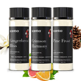 Scentia Pine Frost bottle for diffusers enhances cozy winter ambience