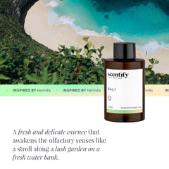 Scentify Bali aroma oil refill musk: musky base adds lasting sophistication to any space.