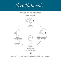 Scentsationals Eclectic Diffuser auto-shutoff ensures safe operation while you sleep.