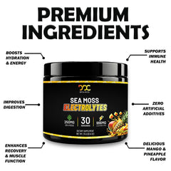 Sea Moss Electrolytes scoop ready for precise mixing and zero-sugar nutrition