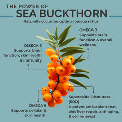 SEABUCKWONDERS organic sea buckthorn seed oil label highlighting organic and vegan features