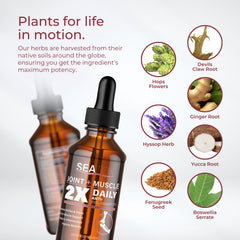 SeaTox Devils Claw herbal blend highlights natural ingredients